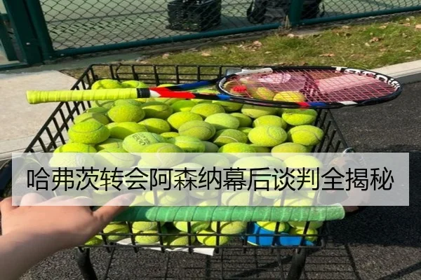 哈弗茨转会阿森纳幕后谈判全揭秘